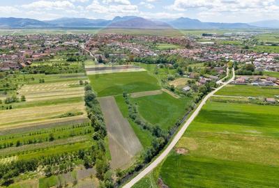 Teren agricol extravilan de 25100 mp, în Prejmer - 10