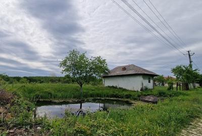 Teren Construcții intravilan de 11275 mp, în Moșoaia - 2