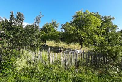 Teren de 410 mp, în Lelese - 3