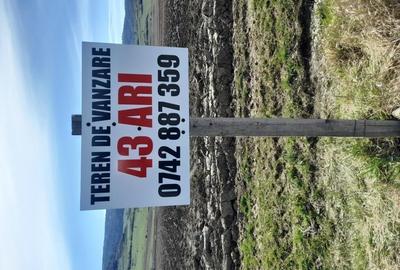 Teren de 4300 mp, în Arcalia - 1