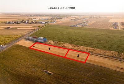 Teren intravilan de 1200 mp, în Livada de Bihor
