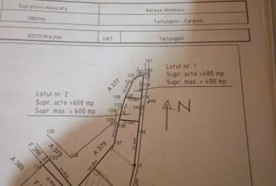 Teren Construcții intravilan de 1327 mp, în Cărpiniș - 3