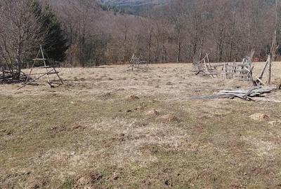 Teren de 1300 mp, în Valea Doftanei - 3