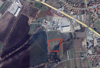 Teren Construcții intravilan de 17615 mp, în Borș