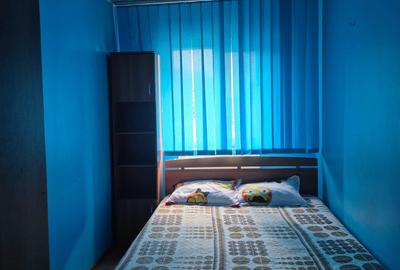 Apartament cu 2 camere decomandat în Bolboși