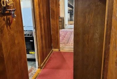 Apartament cu 2 camere semidecomandat în Lugojului - 2