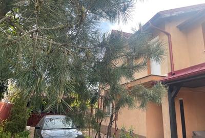 Casă individuală cu 4 camere cu Canalizare în Central - 15