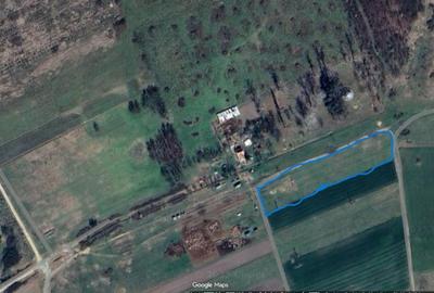Teren agricol extravilan de 2500 mp, în Moșnița Nouă - 1