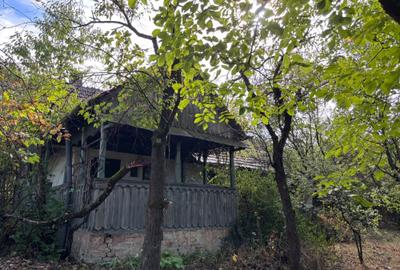 Teren de 3500 mp, în Viile Satu Mare