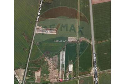 Spațiu comercial, de 17,000 mp, în Jilava - 3