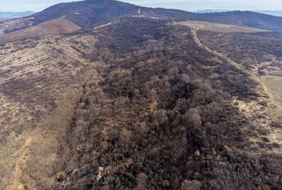 Teren Construcții extravilan de 5000 mp, în Ghioroc - 4