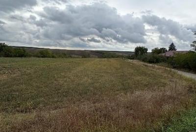 Teren agricol intravilan de 1400 mp, în Comana - 6