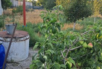 Casă cu Teren 1700 Mp în Plopu
