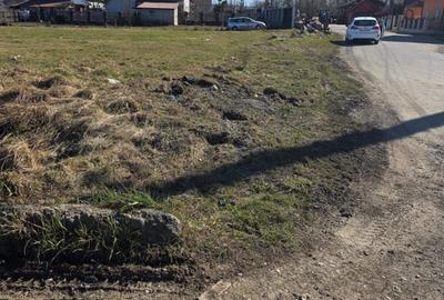Teren de 1000 mp, în Orheiu Bistriței - 3