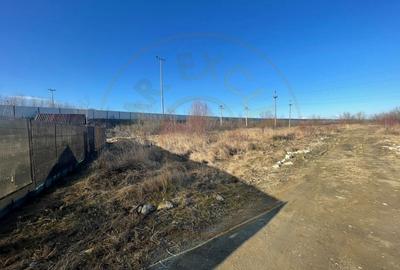 Teren Construcții intravilan de 1030 mp, în Calea București - 1