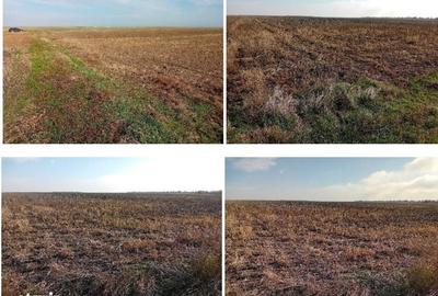 Teren de 10000 mp, în Nana