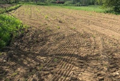 Teren agricol extravilan de 3700 mp, în Glimboca - 2