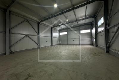 Spațiu industrial, de 450 mp, în Est - 17