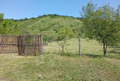 Teren de 12000 mp, în Central