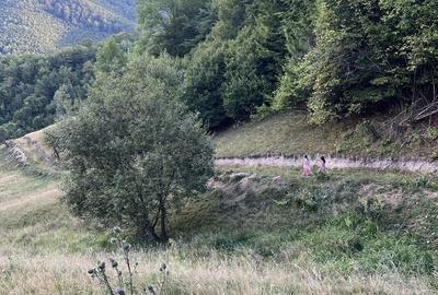 Casă cu 4 camere cu Teren 9000 Mp în Săcuieu