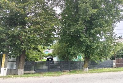 Casă cu 3 camere cu Teren 9000 Mp în Ludași