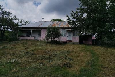 Casă cu Teren 500 Mp în Vintileasca - 1