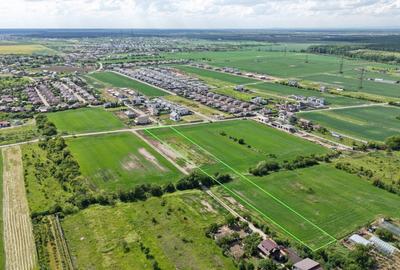 Teren Construcții intravilan de 7600 mp, în Dumbrăveni - 2