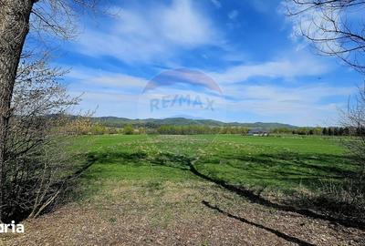 Teren de 10000 mp, în Vânători-Neamț - 12