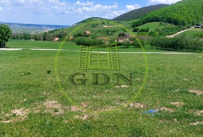 Teren agricol extravilan de 1704 mp, în Gura Râului - 6