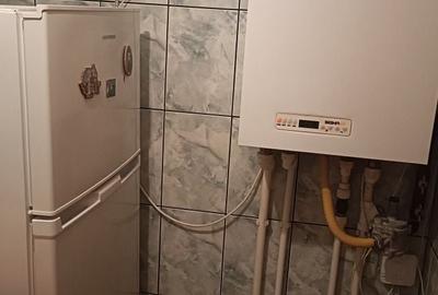 Casă cu 4 camere în Radu Negru
