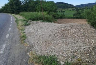 Spațiu comercial, în Sănduleni - 3