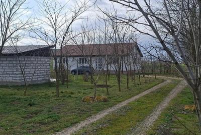Teren de 90000 mp, în Central - 8