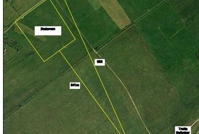 Teren agricol extravilan de 10000 mp, în Șelimbăr - 2