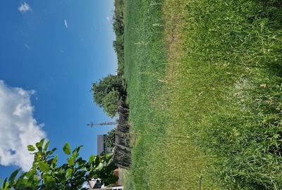 Teren de 1307 mp, în Geamăna (Stoilești) - 2