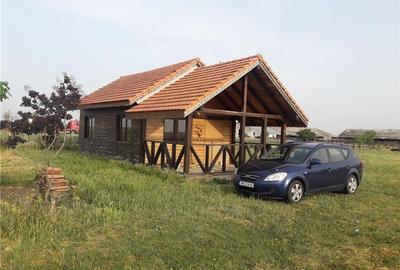 Teren de 11400 mp, în Nord - 3
