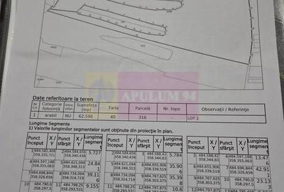 Teren agricol extravilan de 94000 mp, în Albota - 5
