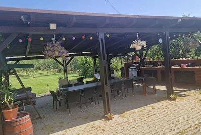 Casă cu Teren 3000 Mp în Mândruloc