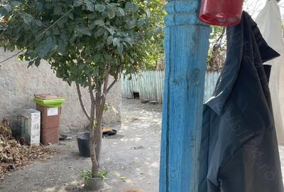 Casă cu 5 camere cu Teren 2820 Mp în Central - 3
