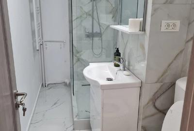 Garsonieră decomandată în Costin Georgian - 2