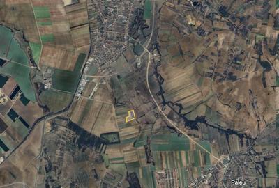Teren extravilan de 15000 mp, în Biharia