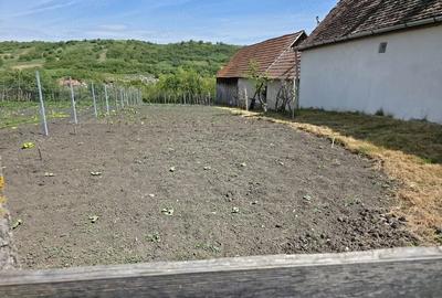 Casă cu Teren 1280 Mp în Alămor - 7