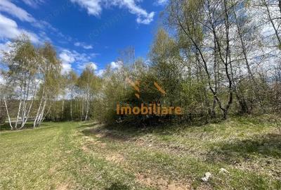 Teren de 103000 mp, în Bălnaca - 3