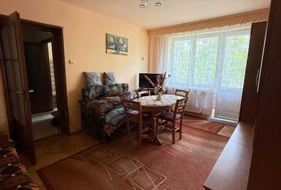 Apartament cu 2 camere semidecomandat în Săsar - 1