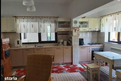 Casă cu 6 camere cu Teren 3108 Mp în Frecăței