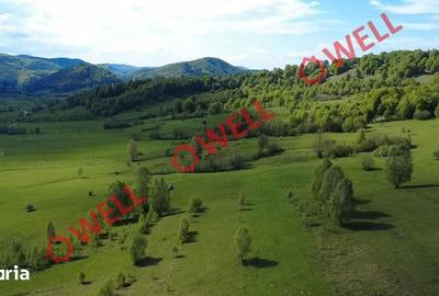 Teren de 1740 mp, în Vama Buzăului - 2