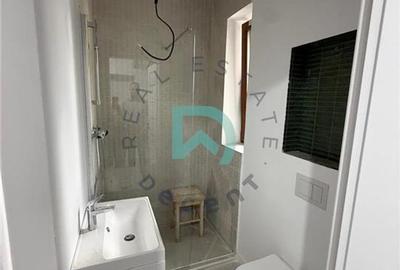 Apartament cu 2 camere semidecomandat, mobilat în Sub Arini - 3