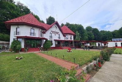 Casă cu 6 camere cu Teren 3414 Mp în Pralea - 5