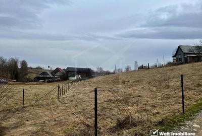 Teren agricol intravilan de 3300 mp, în Râșca - 1