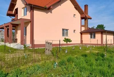Casă cu 8 camere cu Teren 3000 Mp în Firiteaz