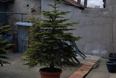 Spațiu comercial, 80 mp în Gara - 15